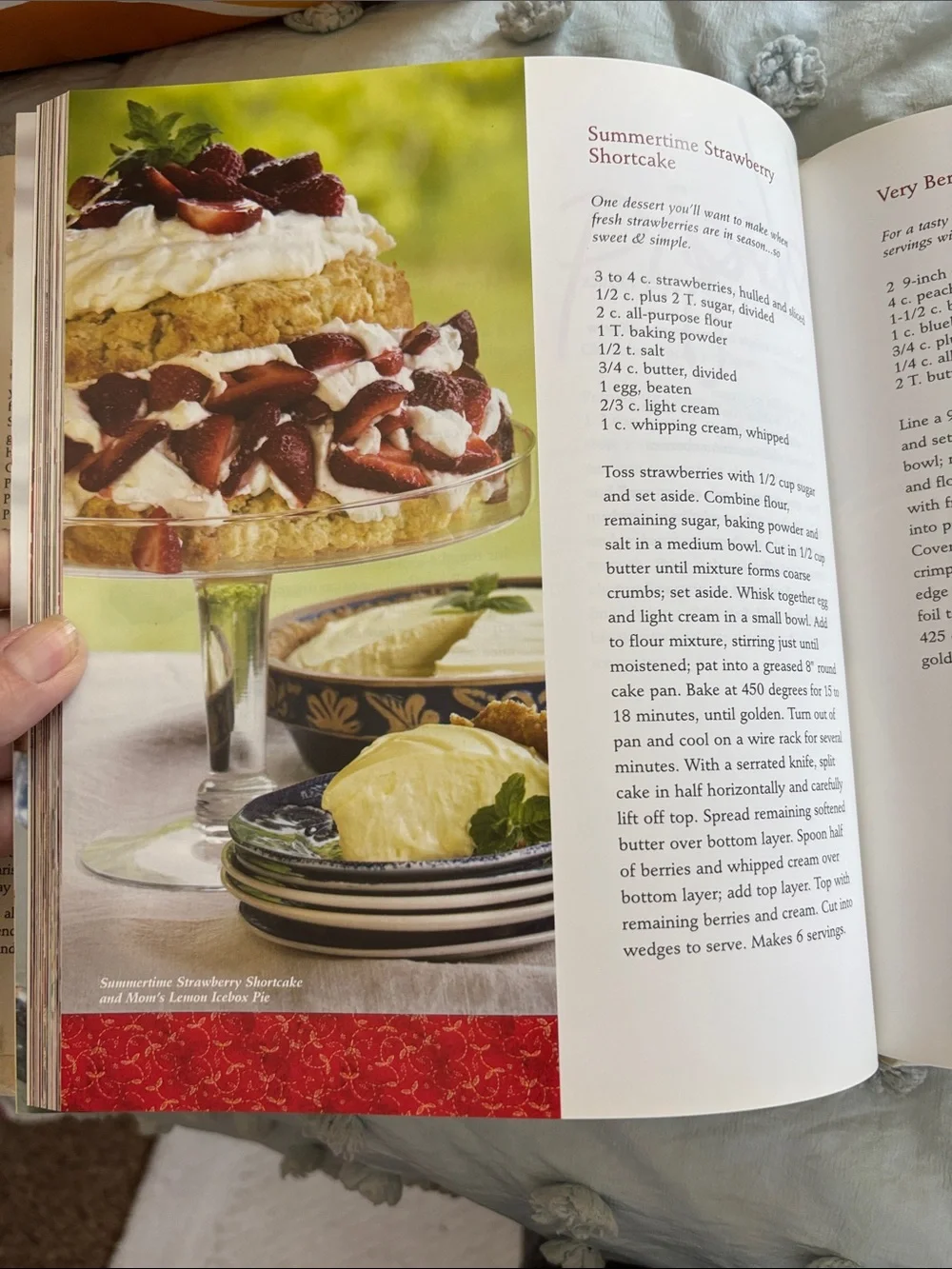 Coming Home with Gooseberry Patch Cookbook – Green Autumn Cover